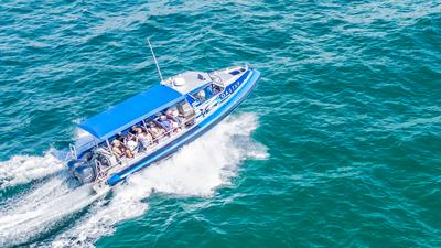 See Magnificent Coastlines on a 75-Minute Ocean Explorer Cruise with Professional Guide