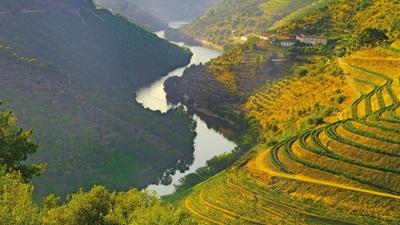 Country Roads of Portugal by Insight Vacations