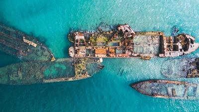 Official Tangalooma™ Day Cruise (Extended): with Scenic Helicopter Tour, Wrecks Snorkelling Tour, Lunch, Cocktail & Dolphin Viewing