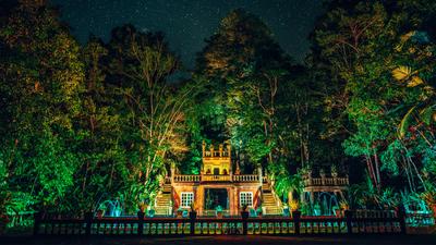 Cairns: Discover Paronella Park on a Guided Group Tour from Cairns with Dinner & Return Transfers
