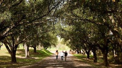 Historic Winery Tour & Ultimate Tasting at Five-Star St Hugo with Rare 100-Year-Old Tawny