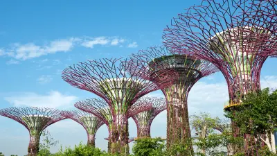 Half-Day City Tour with SkyPark Observation Deck, Gardens by the Bay & Return Transfers