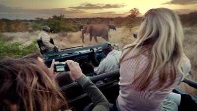 National Geographic Journeys with G Adventures: Explore Kruger National Park by G Adventures - National Geographic Journeys