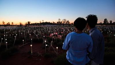 Half-Day Uluru Sunrise & Field of Light Tour with Hot Drink & Return Transfers