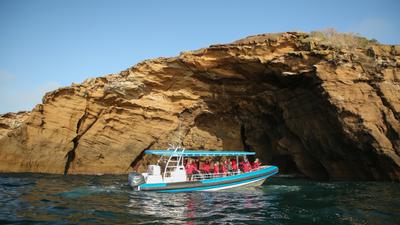 Newcastle: 2.5-Hour Sightseeing Hunter Coast Adventure Cruise to Caves Beach & Catherine Hill Bay