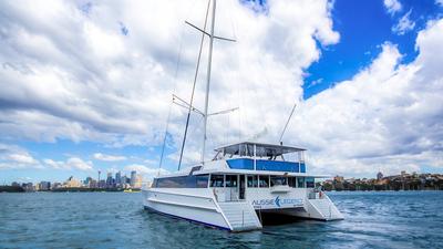 Sydney: Three-Hour Boxing Day Sydney Harbour Cruise with Standing Buffet Lunch & Free-Flow Drinks