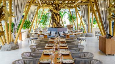 Ubud: Entry to Adults-Only Day Club with Dining Credit & Optional Seating Upgrades