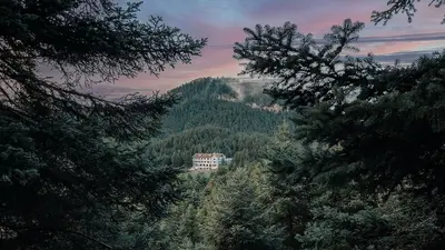 MANNA, a Member of Design Hotels, Gortynia, Greece