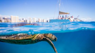 2.5-Hour Turtle Canyon Adventure Tour with Snorkelling & Sailing