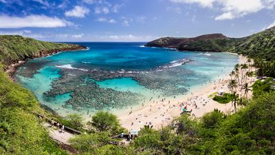 O'ahu: See the Food & Beauty of O'ahu on a Full-Day Ultimate Circle Island Tour with Breakfast & Lunch