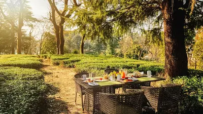 INFINITEA DAKBUNGLOW PALAMPUR, Palampur, India