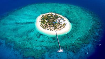 Half or Full-Day Pass to Tropical Island Beach Club with Resort-Style Infinity-Edge Pool & Return Transfers