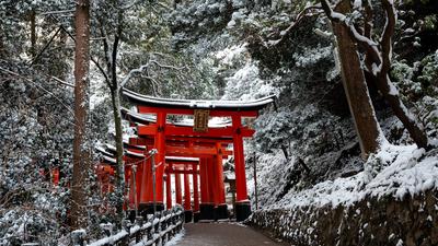 Japan Winter Highlights with Travel by Shinkansen & Snow Monkey Park by Luxury Escapes Tours