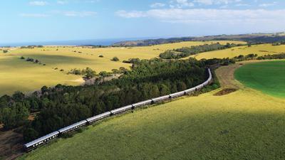 Intimate South Africa Tour with Luxury Rovos Rail Journey & All-Inclusive Safari by Luxury Escapes Tours