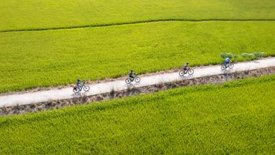 Vietnam Small-Group E-Bike Cycling Tour with Hai Van Pass, Mekong Delta, Hue Imperial City Tour & Culinary Experiences by Luxury Escapes Trusted Partner Tours