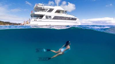 Full-Day Moreton Island Cruise with Lunch, Snorkelling & Optional Transfers Available