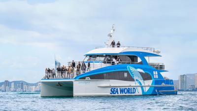 Gold Coast: Embark on a Whale Watching Adventure with 100% Whale Sighting Guarantee