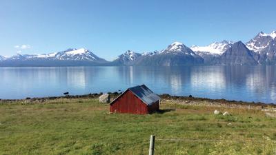 Country Roads of Scandinavia by Insight Vacations