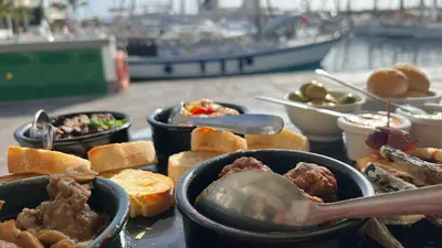 Palm Leaf Mogan, Mogan, Spain