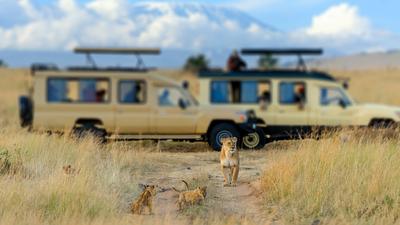 Ultra Lux 9-Day Kenya & Tanzania Private A&K Sanctuary Safari with Serengeti & Maasai Mara National Parks by 