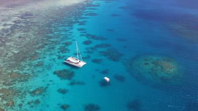 Port Douglas: Small Group Mackay Coral Cay Luxury Sailing Eco-Tour with Guided Snorkelling & Buffet Lunch