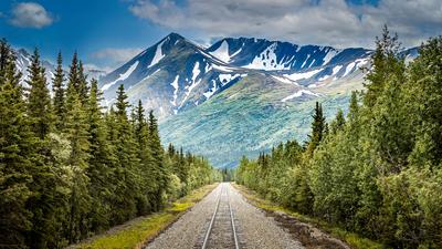 Alaska 2024 & 2025 Wilderness Tour with Prince William Sound Cruise, Columbia Glacier, Denali Railway & Fairbanks Riverboat Ride by Luxury Escapes Trusted Partner Tours