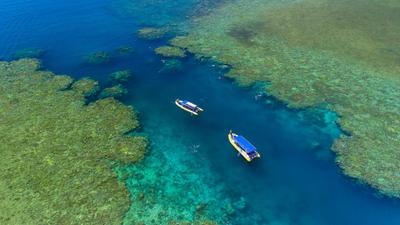 Whitsunday Islands: Full-Day Southern Lights Boat Tour from Daydream Island with Whitehaven Beach Visit, Lunch & Snorkelling