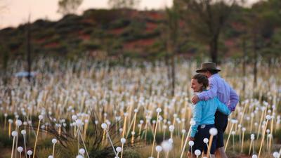 Uluru: Leisurely Sightseeing Pass with Two Half-Day Tours including Uluru Sunrise with Field of Light Experience