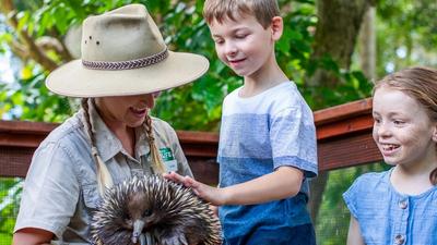 Currumbin Wildlife Sanctuary Day & Dusk Combo Pass with Astra Lumina Night Walk
