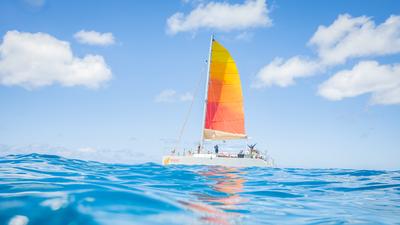 Honolulu: Coast the Waves on a 1.5-Hour Day Sail with Optional Open Bar Upgrade