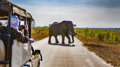 Deluxe 9-Day Southern Africa Safari 2026 with Victoria Falls, Kruger & Chobe National Parks by 