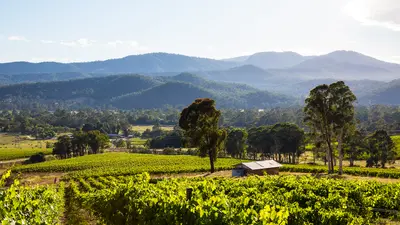 Dal Zotto Homestead and Petite Retreats, Whitfield, Victoria