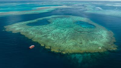 Airlie Beach: Full-Day Outer Great Barrier Reef Catamaran Cruise with Buffet Lunch & Snorkelling