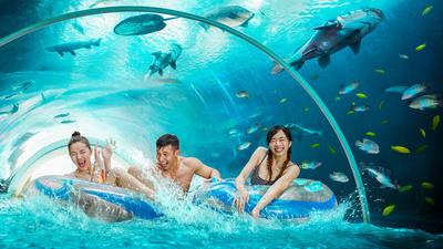 Singapore: Make a Splash with Full-Day Admission to Adventure Cove Waterpark 