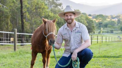 Meet Loveable Farm Animals on a 60-Minute Trevena Glen Farm Tour