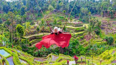 Full-Day Tegalalang Adventure with Coffee Tour, Ziplining, Jungle Swing & Lunch