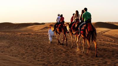 Dubai: Half-Day Sunset Desert Safari with BBQ Dinner, Camel Ride & Return Hotel Transfers