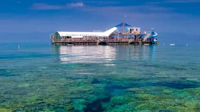 Cairns: Full Day Moore Reef & Fitzroy Island Day Tour at Outer Great Barrier Reef with Tropical Lunch, Snorkelling & Optional Diving Upgrades