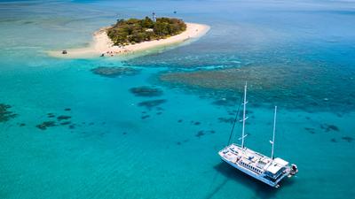 Port Douglas: Great Barrier Reef Low Isle Cruise with Snorkelling Equipment, Tropical Lunch & Glass of Sparkling