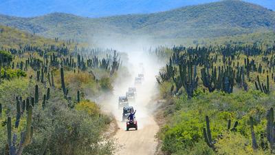 Cabo San Lucas: Three-Hour UTV Tour with Mexican Buffet Lunch, Tequila Tasting & Roundtrip Transfers