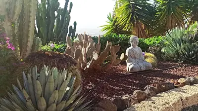 Finca Aurora - Cozy 1-bed Apartment, Arico, Spain