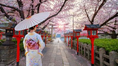 Limited Time Offer: Deluxe 16-Day Best of Japan Cherry Blossom Season with Tokyo, Hiroshima & Osaka by 