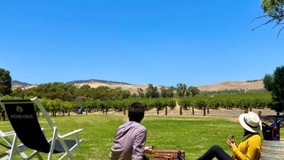 Barossa Valley: Two-Hour Picnic Experience with Locally Sourced Food & Bottle of Wine to Share at Jacob’s Creek Estate