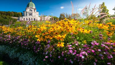 Best of Eastern Canada by Trafalgar