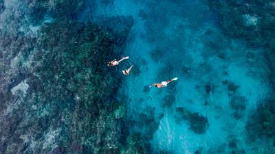 Fiji: Morning or Afternoon Ride & Slide Snorkelling Tour with Morning Tea or Lunch, Free-Flow Drinks & Return Transfers