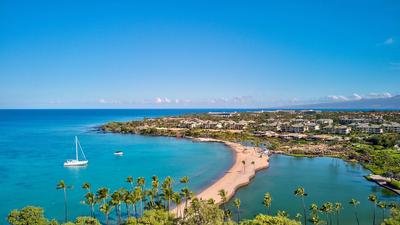 Hawaii: 1.5-Hour Morning Whale Watching Cruise with Drinks