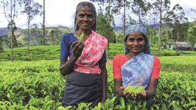 Classical Sri Lanka by Insight Vacations