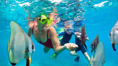 Two-Hour Afternoon Snorkel Cruise with All Snorkelling Gear & Drinks