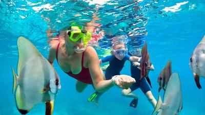 Oahu: Two-Hour Afternoon Snorkel Cruise with All Snorkelling Gear & Drinks