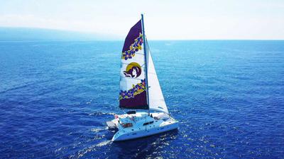 Four-Hour Luxury Snorkeling & Dolphin-Viewing Cruise with Lunch